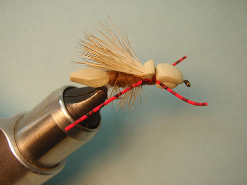 6 grand hopper taped feather
